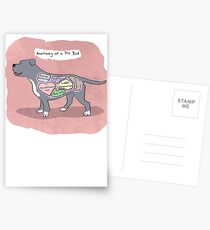 Anatomy of a Pit Bull Postcards