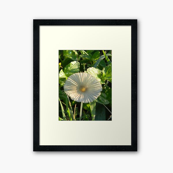 Item preview, Work of Art,The Simple Mushroom designed and sold by Navigator.