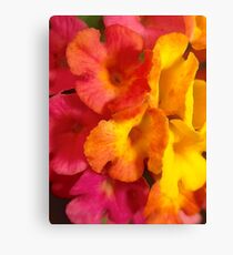 Macro mini flowers Canvas Print