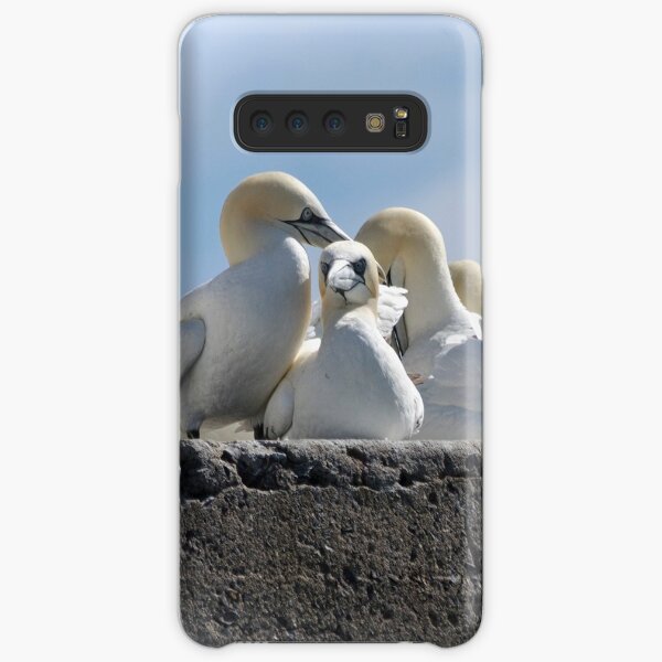 Gannets on the Bass Rock Samsung Galaxy Snap Case