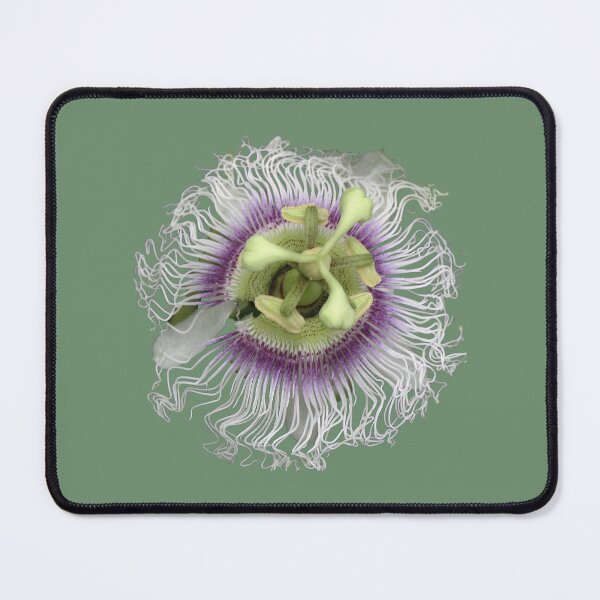 Item preview, Passion Flower designed and sold by STHogan.