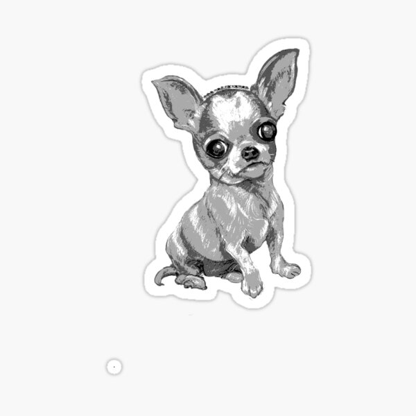 Mini Chihuahua with Tiara ~ Black and white Sticker
