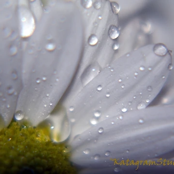 Artwork thumbnail, ~Humidity~ by Katagram