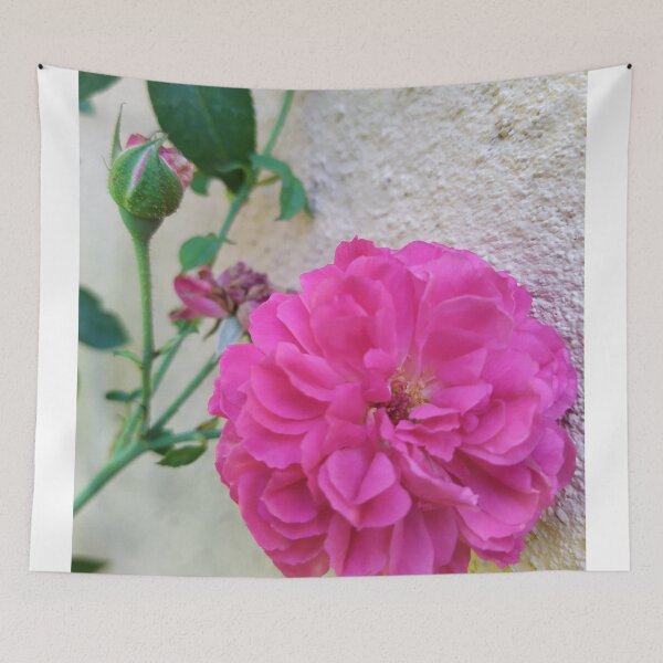 Item preview, Pink rose  designed and sold by Paint84.