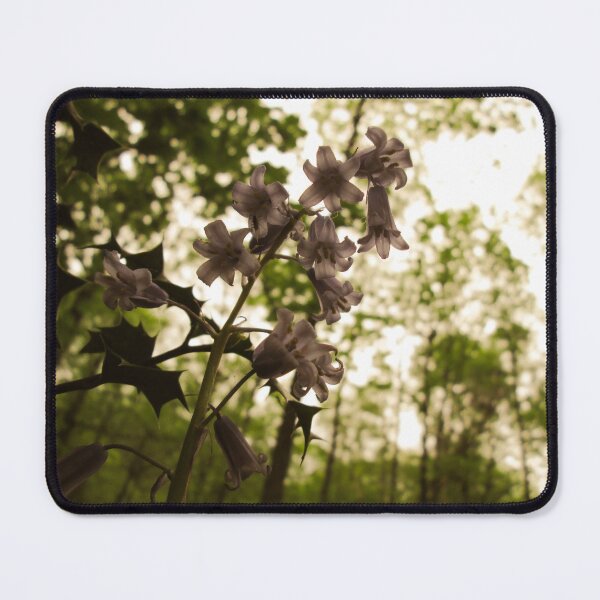 Item preview, Bluebells designed and sold by ColzoArtPhotos.