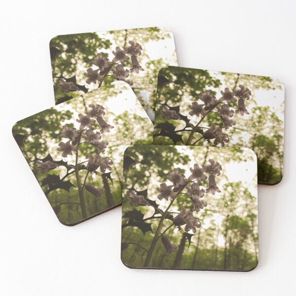 Item preview, Bluebells designed and sold by ColzoArtPhotos.