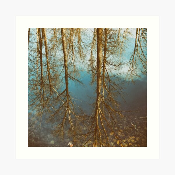 Displaced Art Print