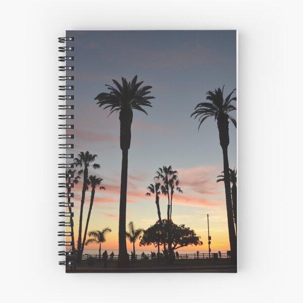 Aperçu de l'œuvre Santa Monica Sky créée et vendue par CaptureLight.