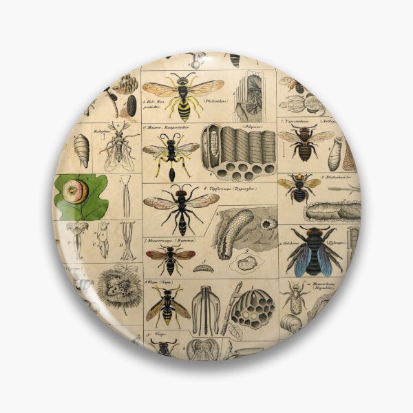Item preview, Types of Insects Butterflies JMMEN designed and sold by Renchery.