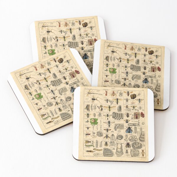 Item preview, Types of Insects Butterflies JMMEN designed and sold by Renchery.