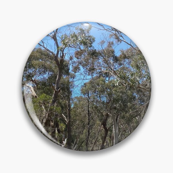 Artikelvorschau, Australischer Busch entworfen und verkauft von jarrahimages.