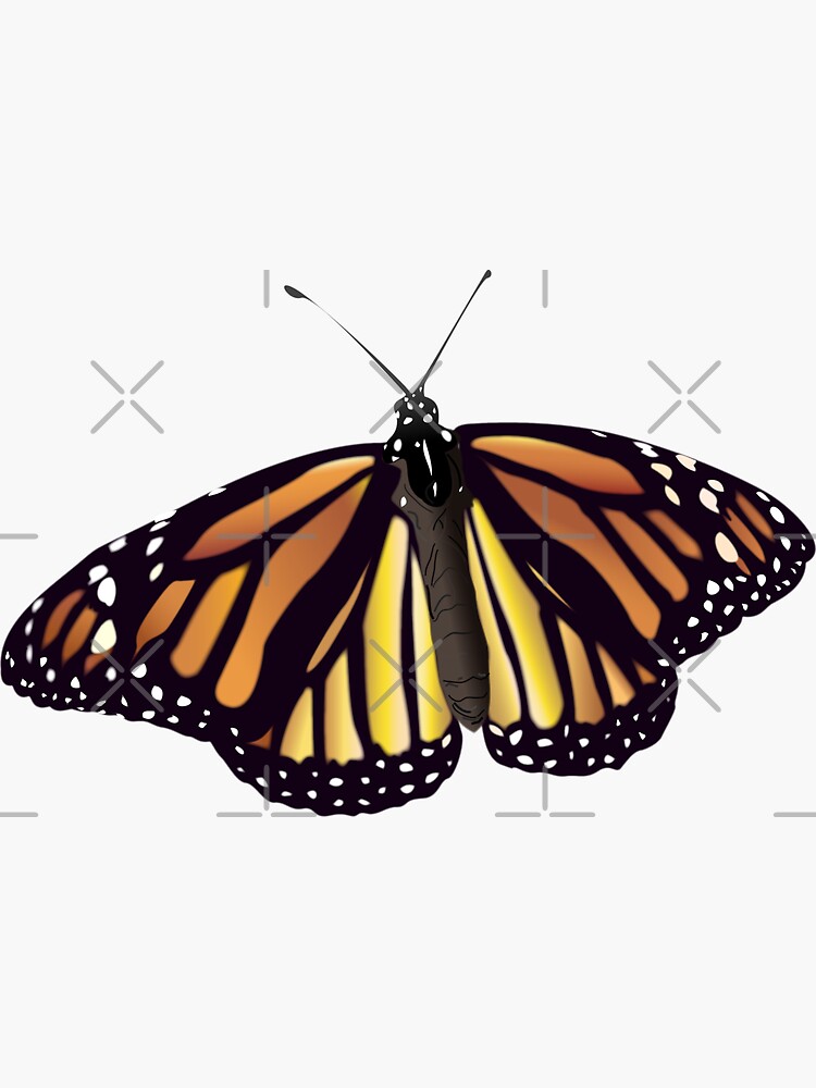 Monarch Butterfly Sticker By Tinagraphics Redbubble 