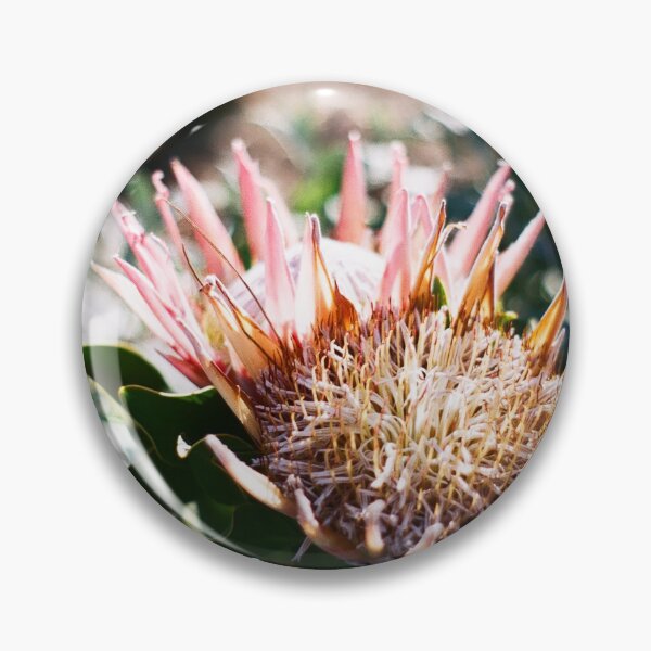 Item preview, Proteas  designed and sold by DieSlang.
