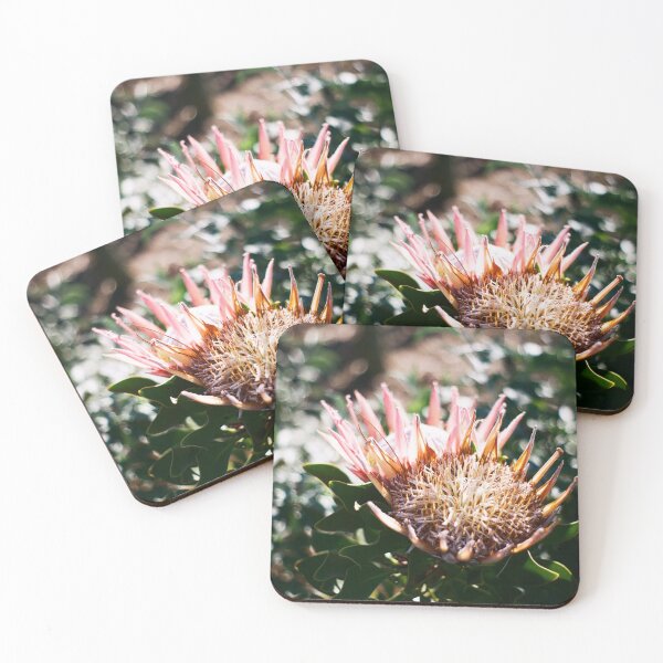 Item preview, Proteas  designed and sold by DieSlang.