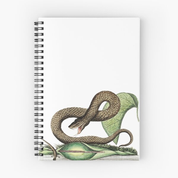 Item preview, Vintage brown viper art with scary venomous snake slithering on leaves for flora and fauna designed and sold by wackodesign.