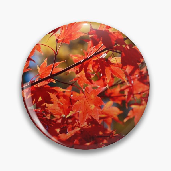 Item preview, Maple Leaves in the Autumn Sun designed and sold by richardbryce.