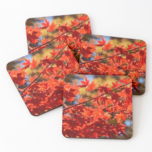 Item preview, Maple Leaves in the Autumn Sun designed and sold by richardbryce.