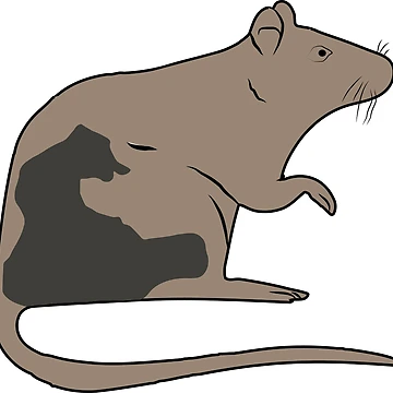 Artwork thumbnail, CUTE RAT by ilydraws
