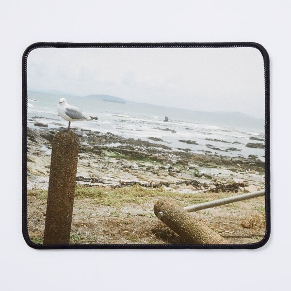 Item preview, Sea Bird of Sea Point designed and sold by DieSlang.