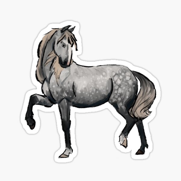 Dapple Grey Andalusian Horse Sticker