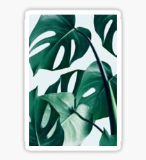 Monstera #redbubble #artprints Sticker