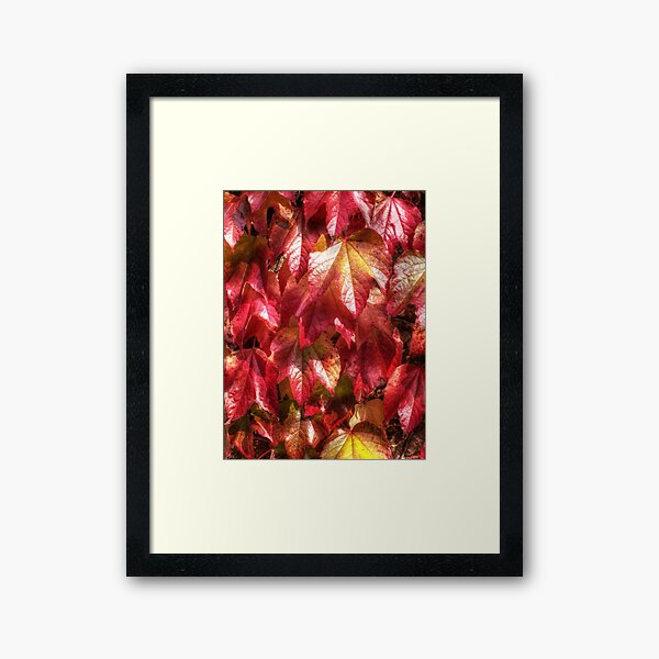 Autumn Leaves Framed Art Print