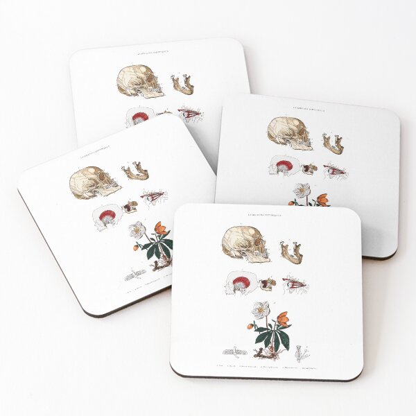 Item preview, Vintage Botanical and Anatomical Illustration - Skull, Bones, Eye and Flowers  designed and sold by Naturalist Prints.
