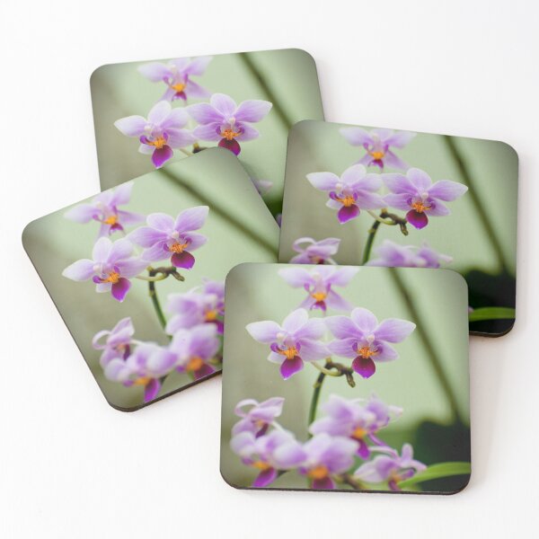 Item preview, Purple Moth Orchid designed and sold by Michael Cummings.