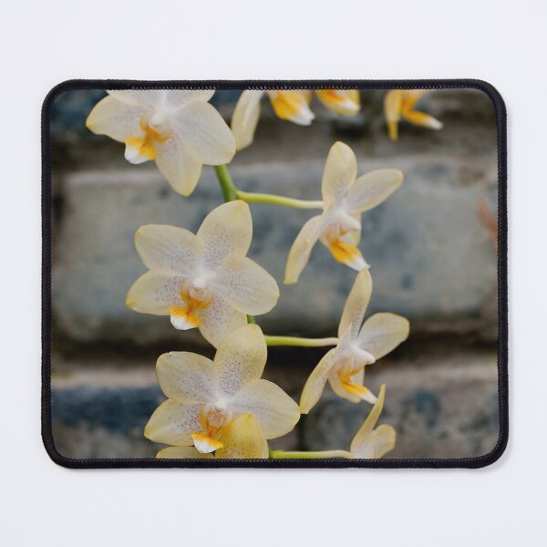 Item preview, Yellow Moth Orchid designed and sold by Michael Cummings.