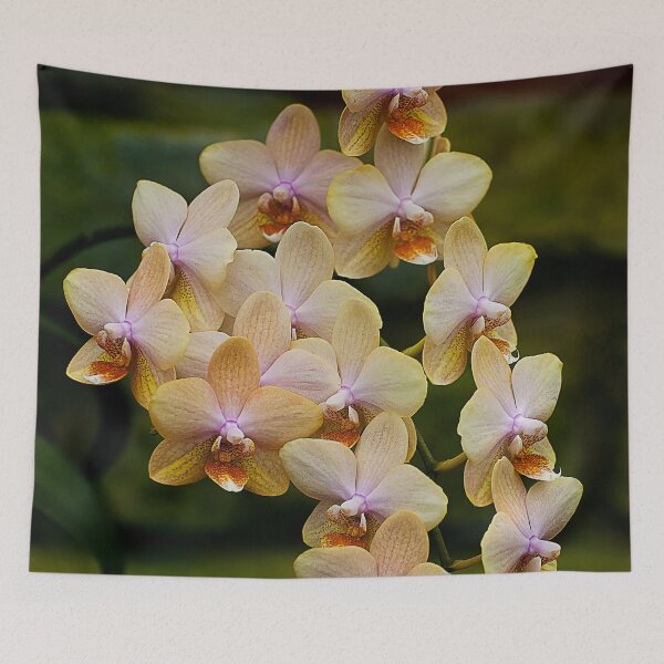 Item preview, Yellow Moth Orchid designed and sold by Michael Cummings.