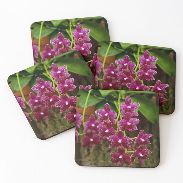 Item preview, Purple Moth Orchid designed and sold by Michael Cummings.