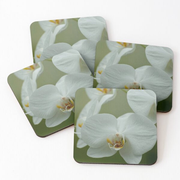 Item preview, White Moth Orchid designed and sold by Michael Cummings.