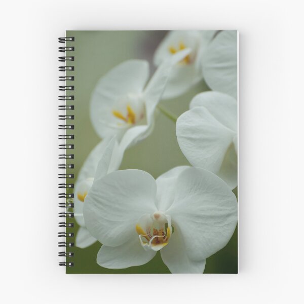 Item preview, White Moth Orchid designed and sold by Michael Cummings.