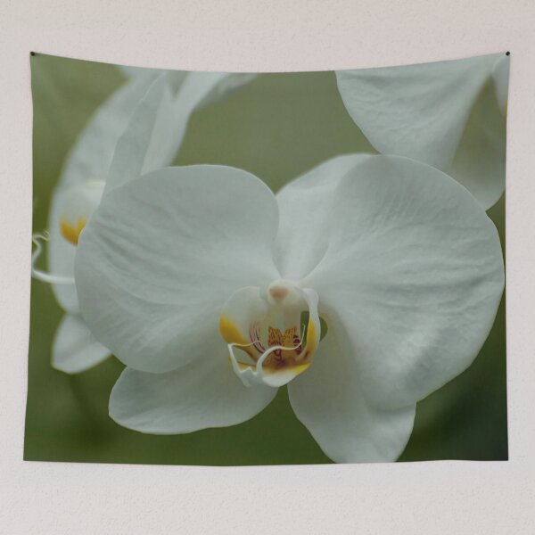Item preview, White Moth Orchid designed and sold by Michael Cummings.
