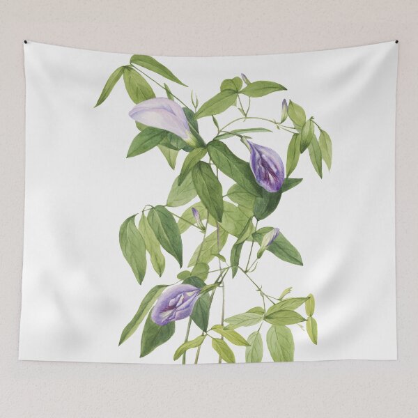 Item preview, Purple Butterfly Pea Flowers Blossom designed and sold by JoyforU.