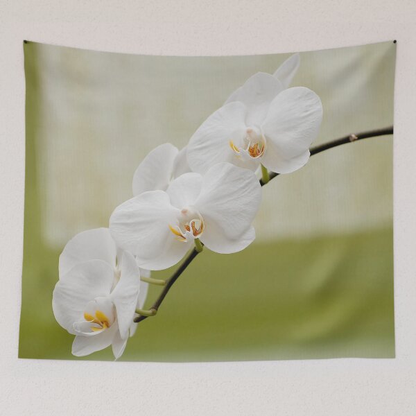Item preview, White Moth Orchid designed and sold by Michael Cummings.