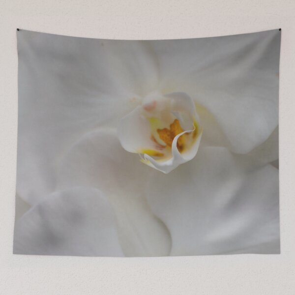Item preview, White Moth Orchid designed and sold by Michael Cummings.