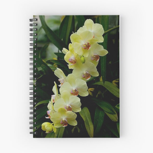 Item preview, Yellow Moth Orchid designed and sold by Michael Cummings.