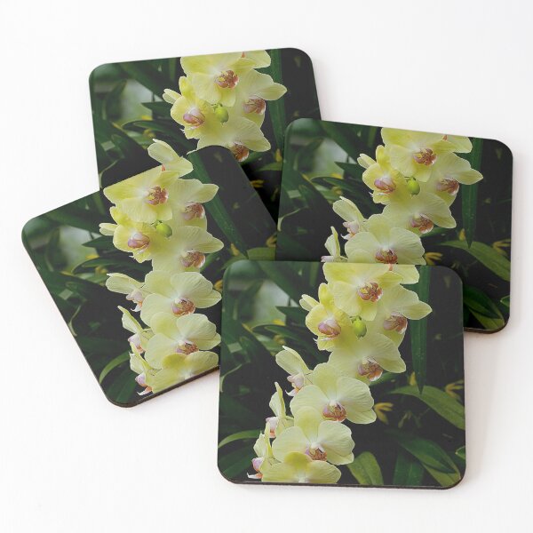 Item preview, Yellow Moth Orchid designed and sold by Michael Cummings.