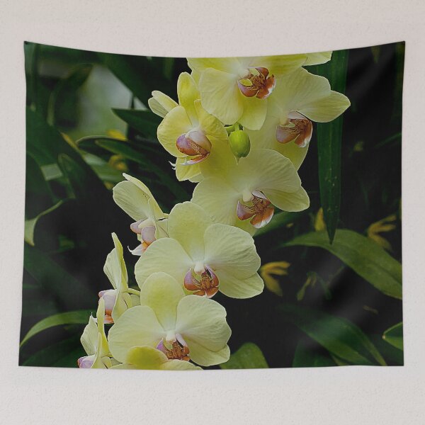 Item preview, Yellow Moth Orchid designed and sold by Michael Cummings.