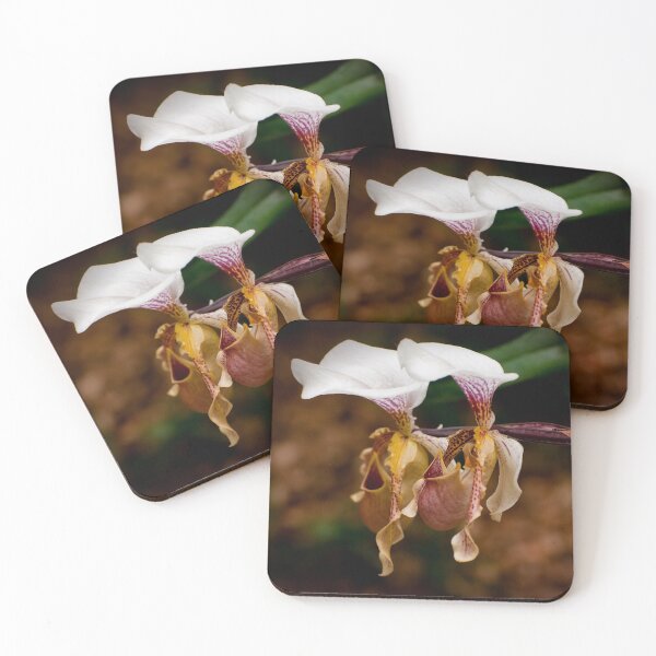 Item preview, Paphiopedilum Orchid designed and sold by Michael Cummings.