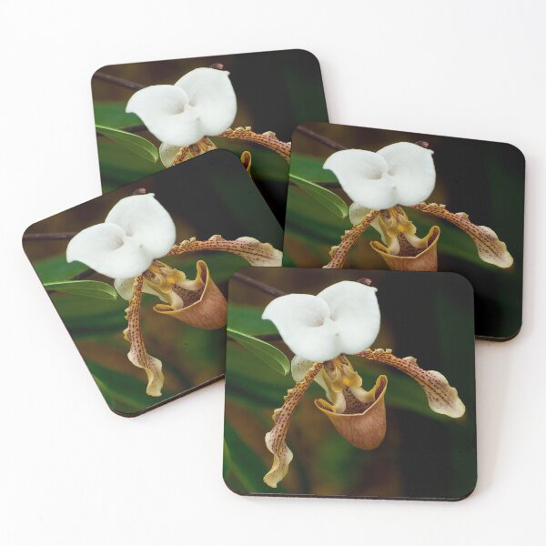 Item preview, Paphiopedilum Orchid designed and sold by Michael Cummings.