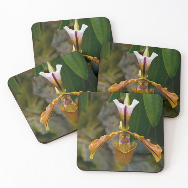 Item preview, Paphiopedilum Orchid designed and sold by Michael Cummings.