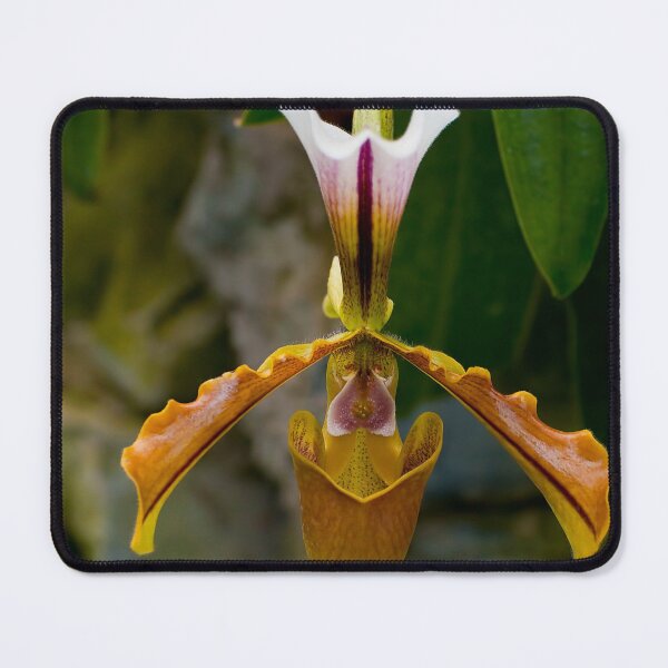 Item preview, Paphiopedilum Orchid designed and sold by Michael Cummings.