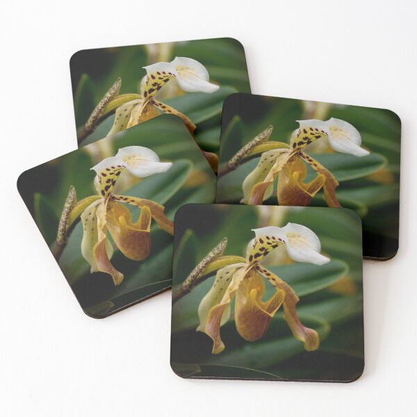 Item preview, Paphiopedilum Orchid designed and sold by Michael Cummings.