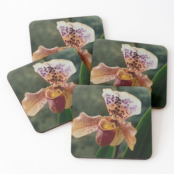 Item preview, Paphiopedilum Orchid designed and sold by Michael Cummings.