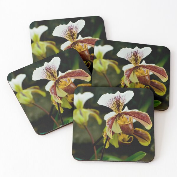 Item preview, Paphiopedilum Orchid designed and sold by Michael Cummings.