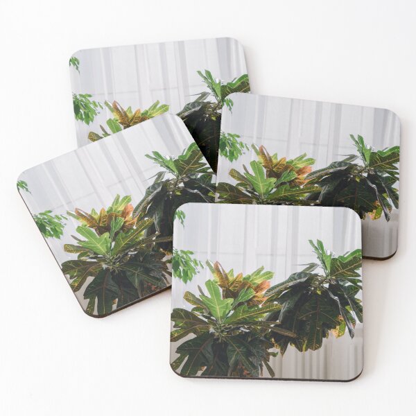 Item preview, Codiaeum designed and sold by anstey.