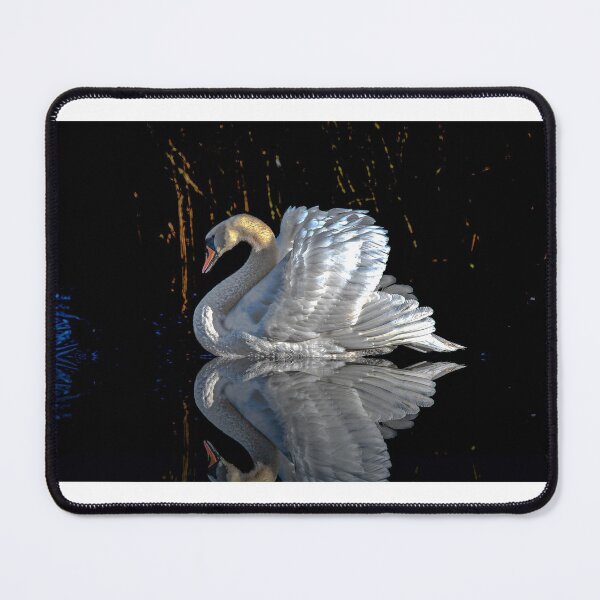 Item preview, Gliding on water designed and sold by AntonioSimoes.