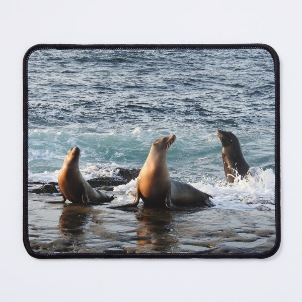 Item preview, Sea Lions, marine life, wildlife, gifts, Feeling Good designed and sold by Sandra O'Toole.